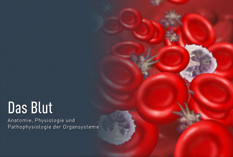 Das Blut -Der Aufbau Und Die Funktion - TUTOOLIO Healthcare