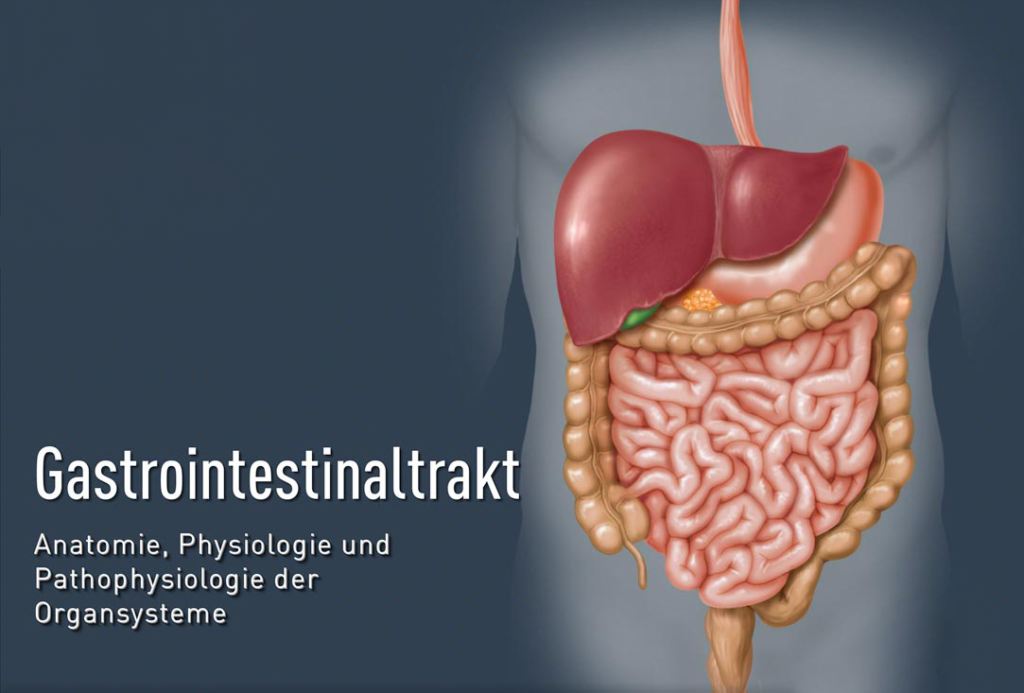 Der Gastrointestinaltrakt - TUTOOLIO Healthcare